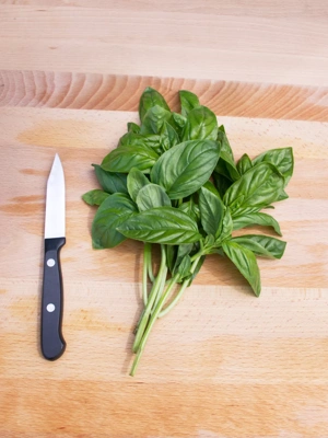 Genovese Basil Organic Seeds