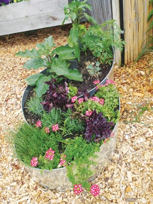 Curved Metal Raised Bed