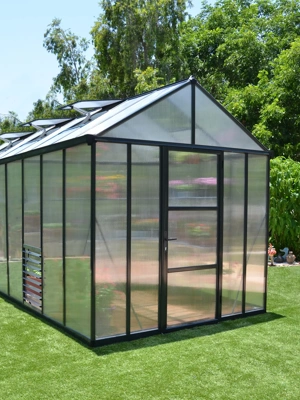 Canopia® by Palram Glory™ Greenhouse,  8'