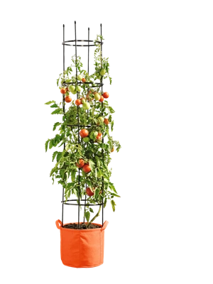 Gardener's BestÂ® Tomato Grow Bag Set