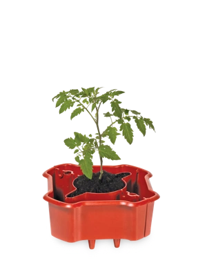 Plant Support & Accessories