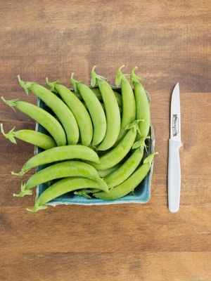 Snap Pea- SS 141 Organic Seeds