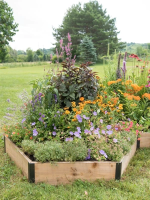 Pollinator Cedar Garden Bed