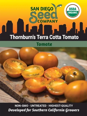 Tomato, Thornburns Terra Cotta Organic Seeds