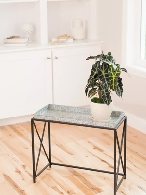 Plant Stand with Galvanized Tray