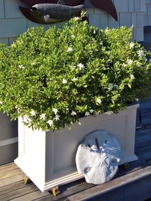 Fairfield Patio Planter, 20" x 36"