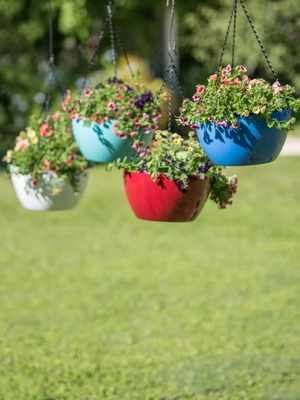 Planters  Planters, Colorful planters, Chinese decor