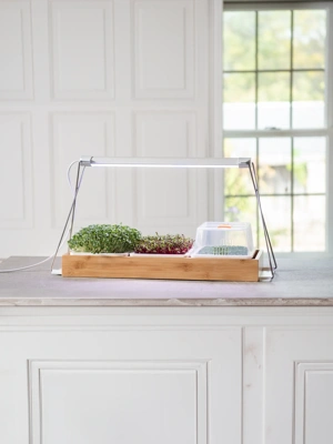 Bamboo Microgreen Tray with Grow Light Kit