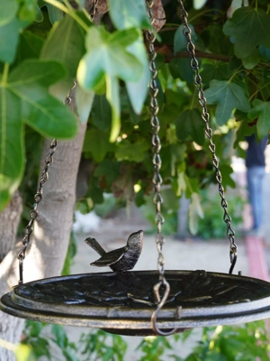 Floral Motif Hanging Birdbath