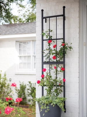 Essex Wall Trellis