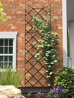 Panacea Giant Garden Trellis, 9'