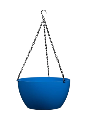 Viva Self-Watering Hanging Basket, 11" Diameter