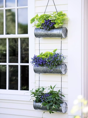 Galvanized Hanging Triple Planter