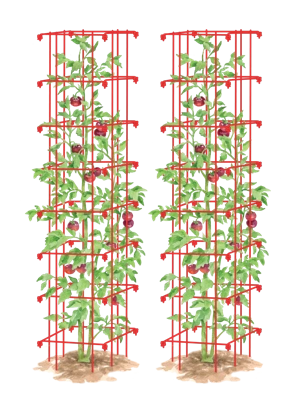 12 cm - greenx100pcs - Lot de 100 attaches de câble de jardinage fil  électrique ruban de plantes à fleurs ligne'attache torsadée vignes  grimpantes Ligature cordes fixes multifonctions