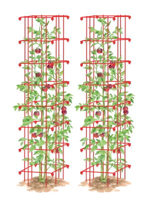 Tomato Towers, Set of 2