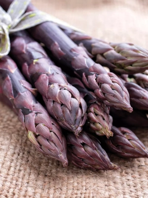 Van Zyverden Asparagus Purple Passion, Set of 12