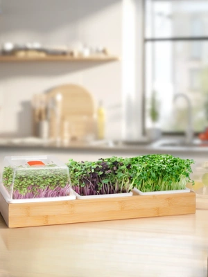 Bamboo Microgreen Growing Tray