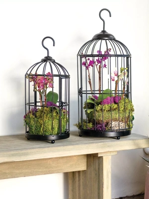 Hanging Birdcage Planter Set