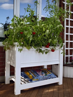 Cambridge Elevated Planter