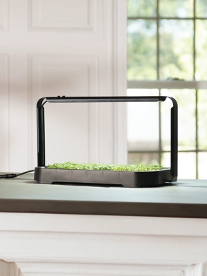 Microgreen Grow System