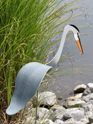 Florida Dancing Birds®, Great Blue Heron