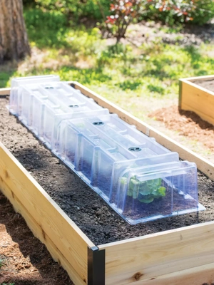 Cool Weather Row Cloches Set