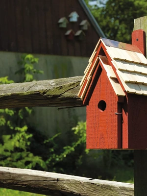 Heartwood Bluebird Manor Bird House