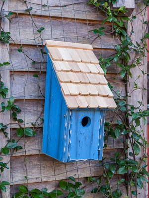 Heartwood Bluebird Bunkhouse Bird House