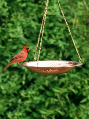 Outdoor Garden Wall Mounted Hanging Iron Bird Bath And Feeder