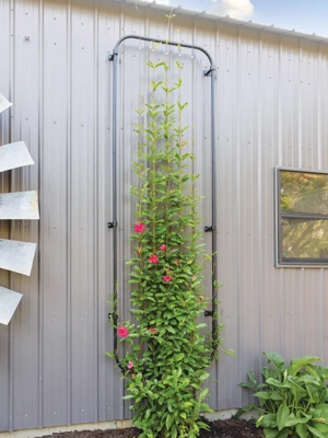 Cable Wall Trellis