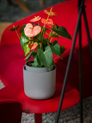 Tolita Recycled Self-Watering Flower Pot, 8" Diameter