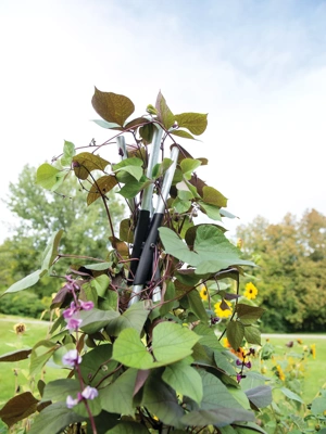 DIY Connector for Teepee Trellis