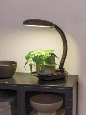 Agrobrite Desktop LED Plant Lamp