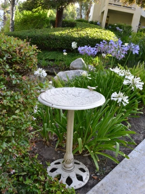 Twin Bird Floral Motif Birdbath