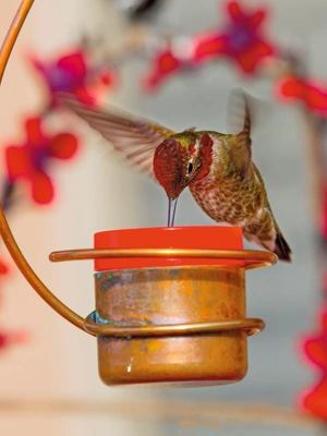 Copper Hummingbird Feeder