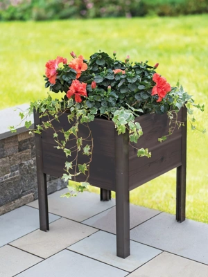 Eco-Stained Elevated Cedar Planter Box, 2' x 2' (10" D)