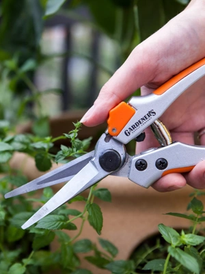 Pruning Shears: The Go-To Garden Tool