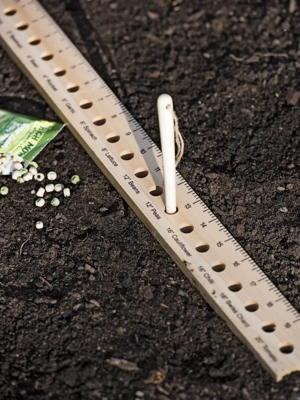 Intervale Seed and Plant Spacing Ruler