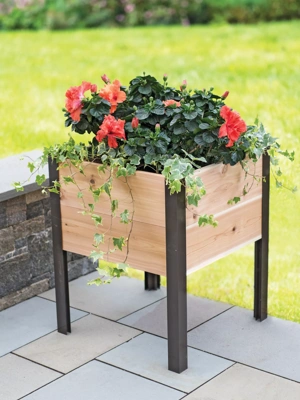 Elevated Planter Box, 2' x 2'