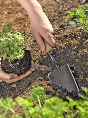 Gardener's Lifetime Trowel