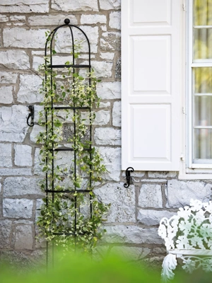 7' Essex Half-Round Trellis