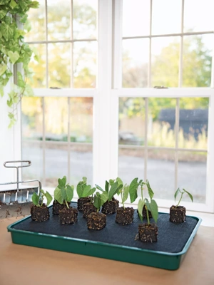 Crisscross Cascading Plant Stand with Copper Trays