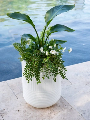 Arden Round Planter