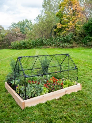 Chicken Wire Crop Coop, Black