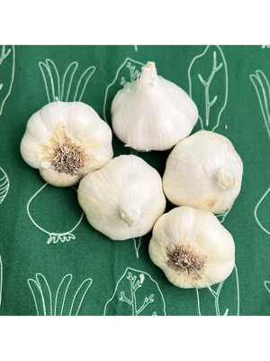 Artichoke Sicilian Garlic