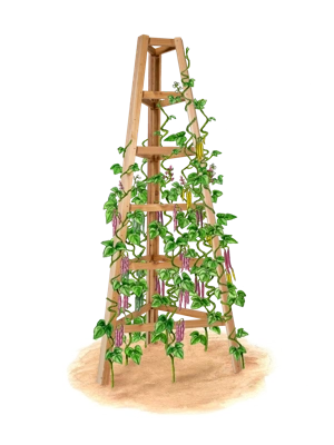 Wooden Obelisk, 8'