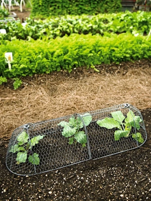 Cloches blanches neuf : Equipements