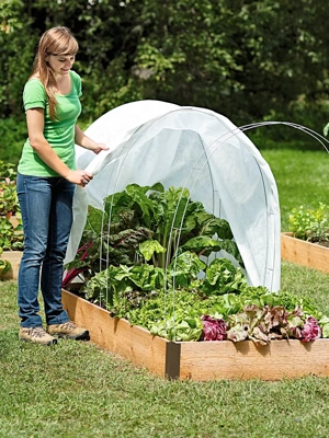 Garden Bug Net