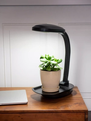 Desktop grow hot sale lights