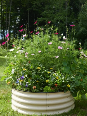 Birdies™ Round Metal Raised Bed, 38" dia. (14" D)